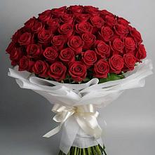 Букет 101 Красная роза Блэк Мэджик в Приморский