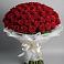 Букет 101 Красная роза Блэк Мэджик в Приморский