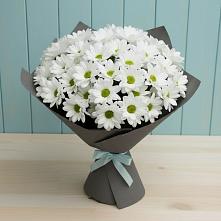Букет цветов из:  Хризантемы #REPLACE_PRED# Приморский