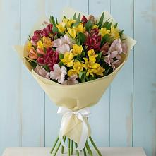 Букет цветов из:  Альстромерии в Приморский