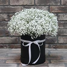 Цветочная композиция из Гипсофила в шляпной коробке в Приморский