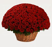 Премиум букет из: Розы в Приморский