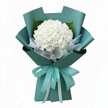 Букет цветов из:  Гортензия в Приморский